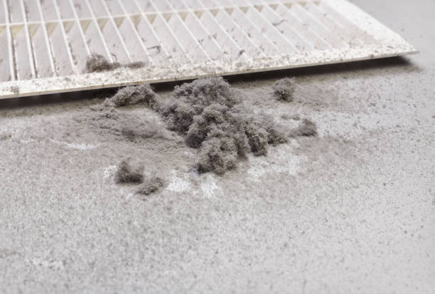Home Air Vent Cleaning in IL